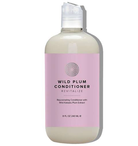 Hairprint Wild Plum Conditioner